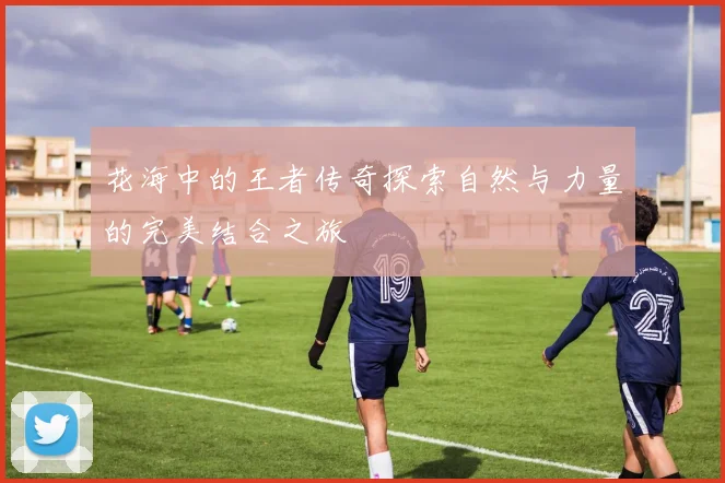 花海中的王者传奇探索自然与力量的完美结合之旅