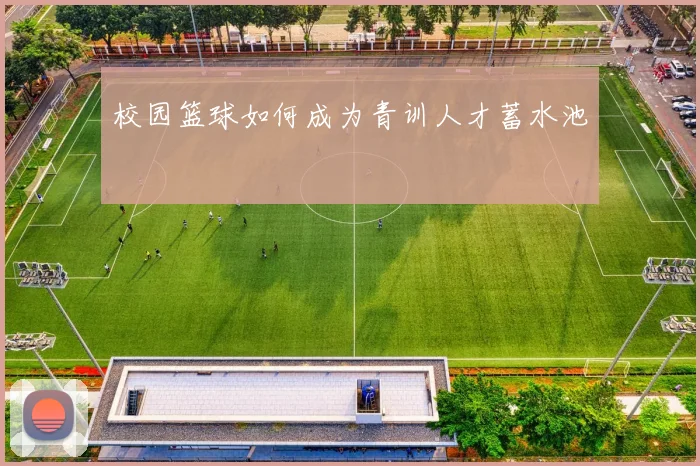 校园篮球如何成为青训人才蓄水池