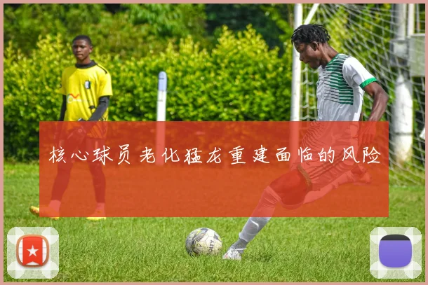 核心球员老化猛龙重建面临的风险