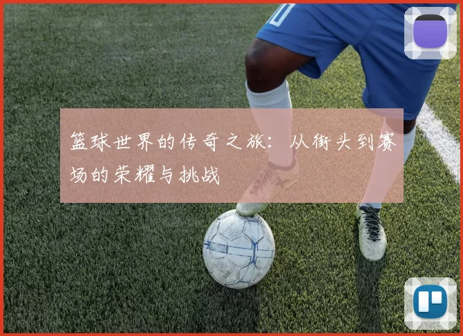 篮球世界的传奇之旅：从街头到赛场的荣耀与挑战