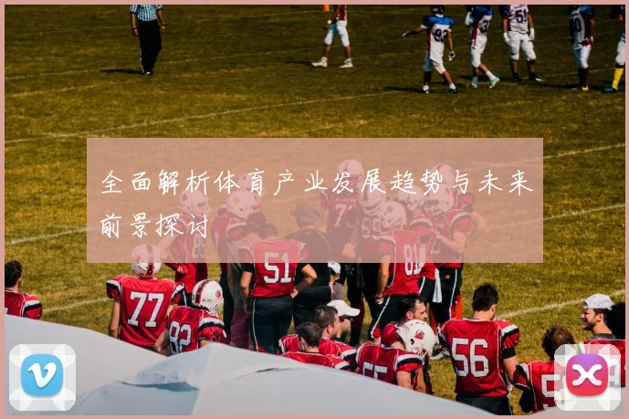 全面解析体育产业发展趋势与未来前景探讨
