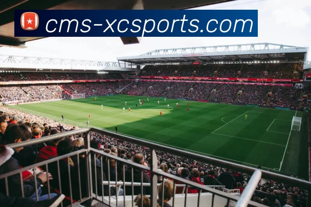 篮球世界的传奇之旅：从街头到赛场的荣耀与挑战